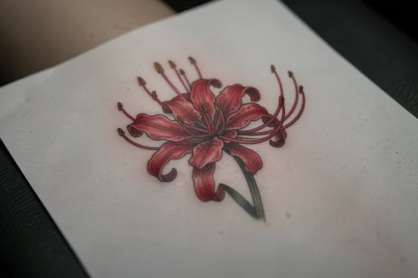 15 Gorgeous Aesthetic Spider Lily Tattoos You’ll Want to Try