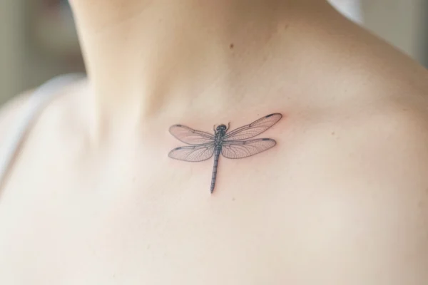 41 Pretty Minimalist Dragon Fly Tattoos Worth Stealing